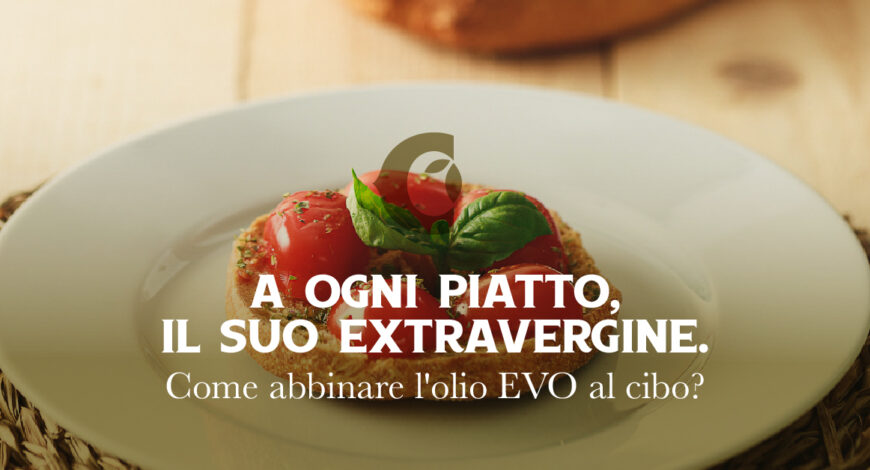 olio, olio d'oliva, olio veneto